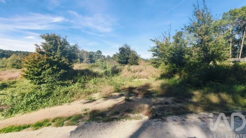 Terreno para Venda em Reboreda e Nogueira