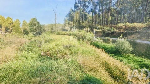 Terreno para Venda em Reboreda e Nogueira