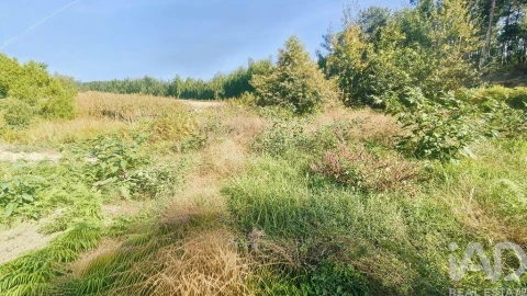 Terreno para Venda em Reboreda e Nogueira