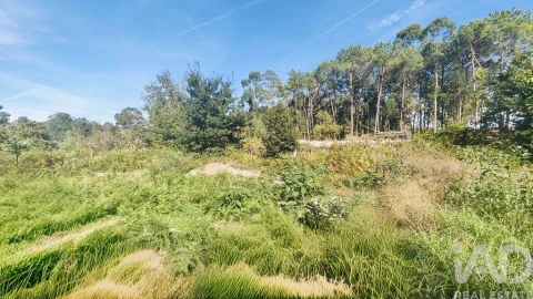 Terreno para Venda em Reboreda e Nogueira