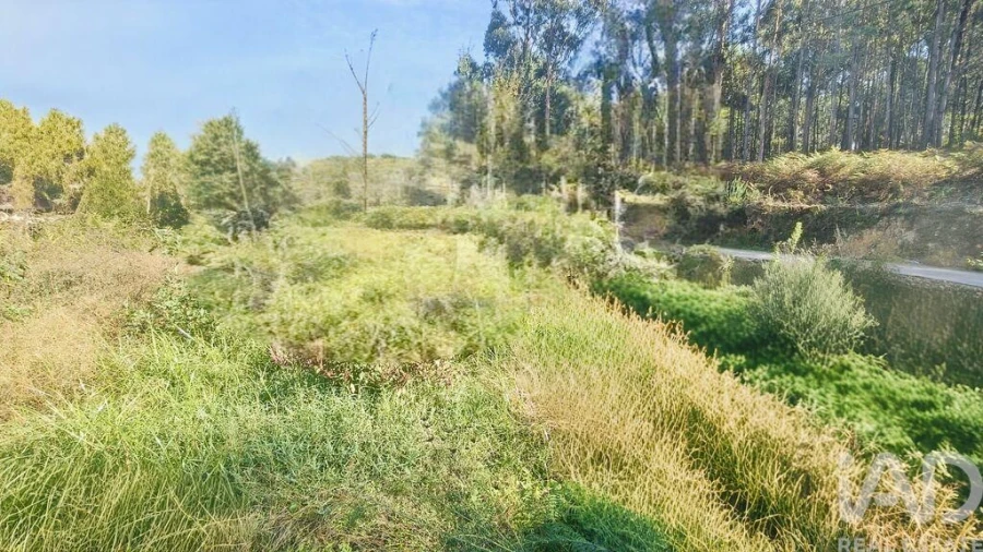 Terreno para Venda em Reboreda e Nogueira Foto 5