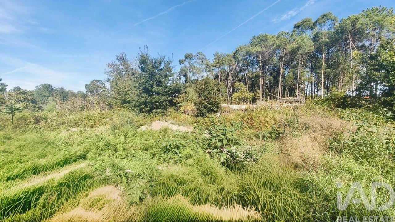 Terreno para Venda em Reboreda e Nogueira Foto 4