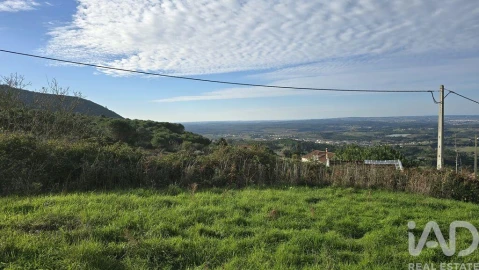 Terreno para Venda em Lamas e Cercal