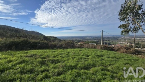 Terreno para Venda em Lamas e Cercal