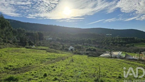 Terreno para Venda em Lamas e Cercal