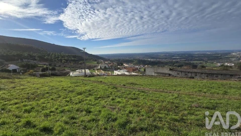 Terreno para Venda em Lamas e Cercal