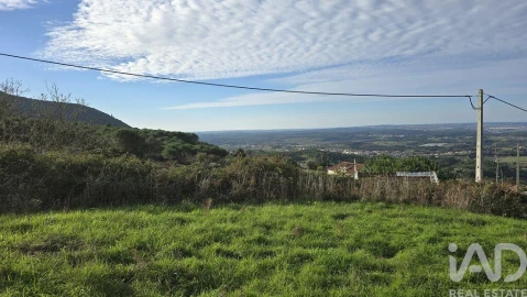 Terreno para Venda em Lamas e Cercal