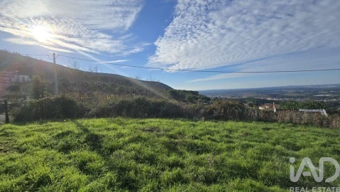 Terreno para Venda em Lamas e Cercal