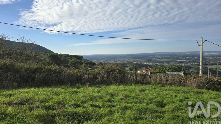 Terreno para Venda em Lamas e Cercal Foto 4
