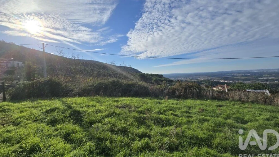 Terreno para Venda em Lamas e Cercal