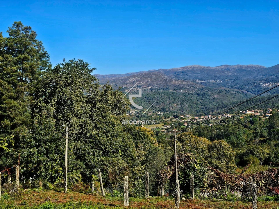 Terreno para Venda em Eiras e Mei Foto 9