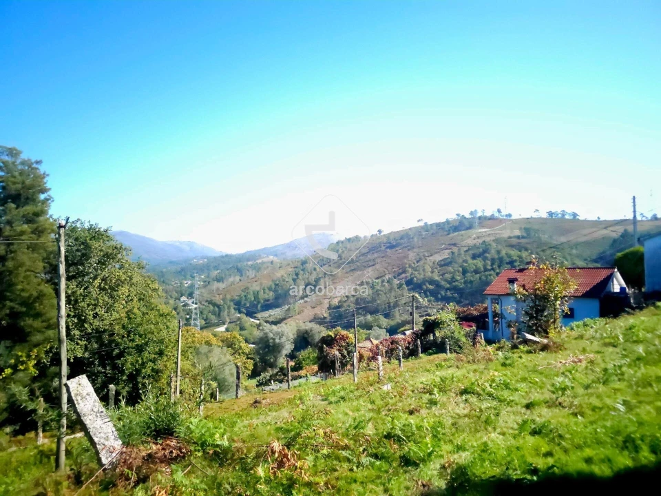 Terreno para Venda em Eiras e Mei Foto 16