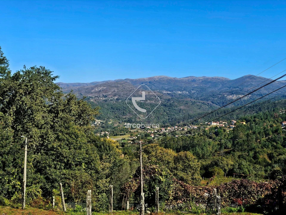 Terreno para Venda em Eiras e Mei Foto 8