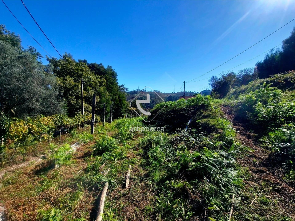 Terreno para Venda em Eiras e Mei Foto 4