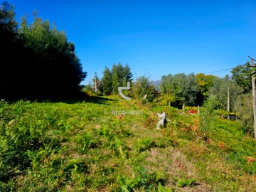 Terreno para Venda em Eiras e Mei