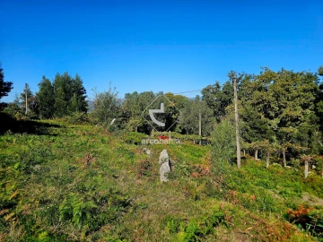 Terreno para Venda em Eiras e Mei