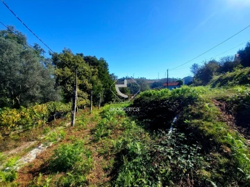 Terreno para Venda em Eiras e Mei