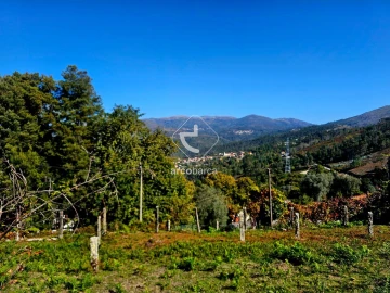 Terreno para Venda em Eiras e Mei