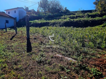 Terreno para Venda em Eiras e Mei