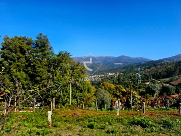 Terreno para Venda em Eiras e Mei
