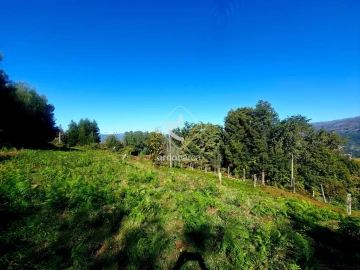 Terreno para Venda em Eiras e Mei
