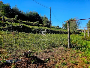 Terreno para Venda em Eiras e Mei