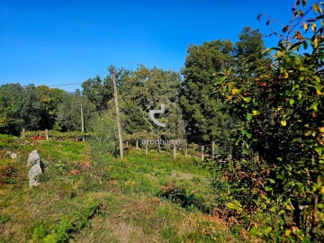 Terreno para Venda em Eiras e Mei