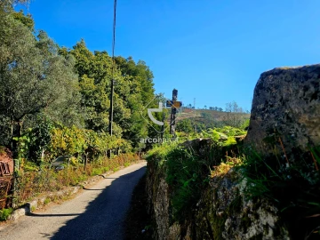 Terreno para Venda em Eiras e Mei