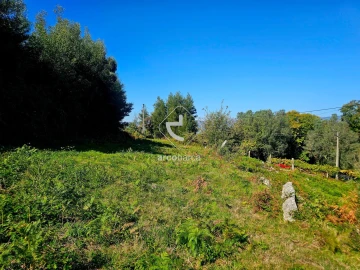 Terreno para Venda em Eiras e Mei