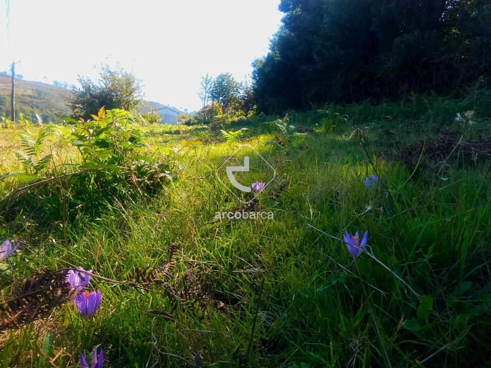 Terreno para Venda em Eiras e Mei Foto 32