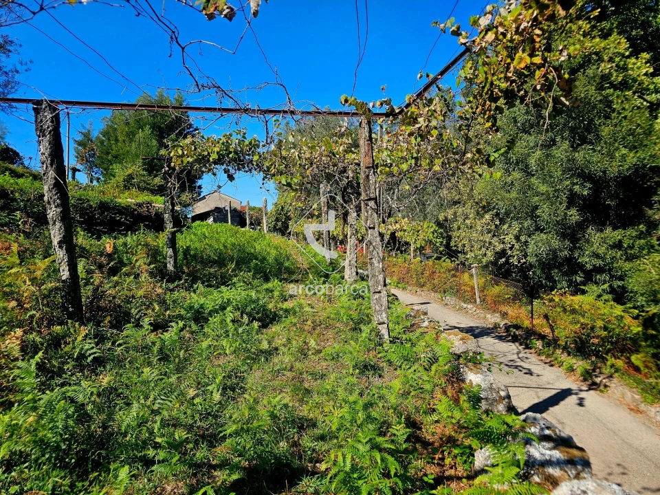 Terreno para Venda em Eiras e Mei Foto 28