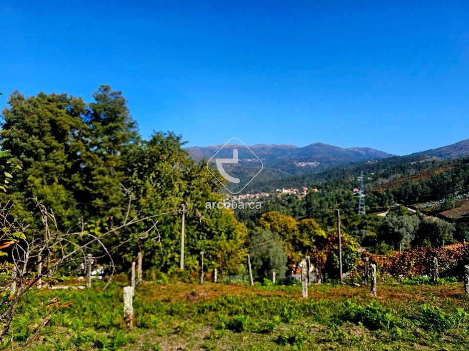 Terreno para Venda em Eiras e Mei Foto 6