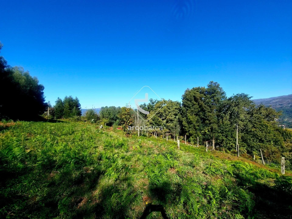 Terreno para Venda em Eiras e Mei Foto 3
