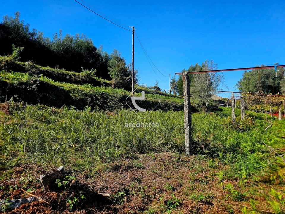 Terreno para Venda em Eiras e Mei Foto 23