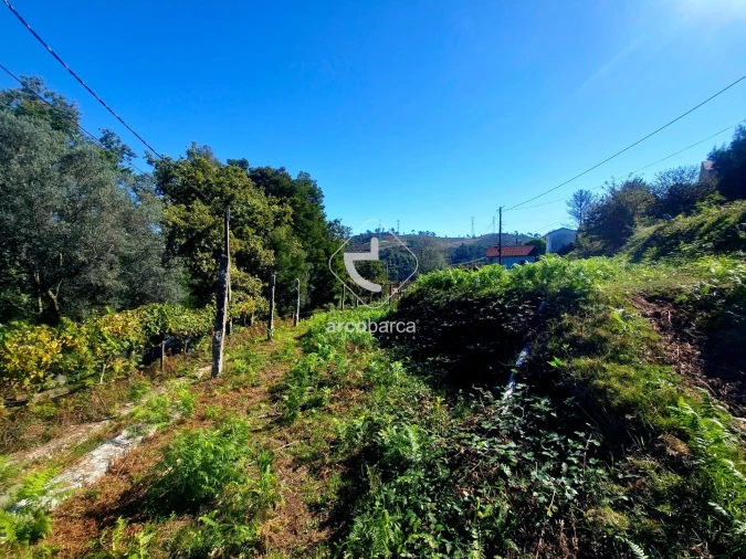 Terreno para Venda em Eiras e Mei Foto 35