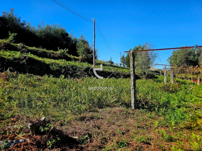 Terreno para Venda em Eiras e Mei Foto 24