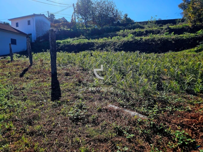 Terreno para Venda em Eiras e Mei Foto 26
