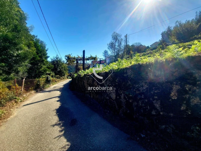 Terreno para Venda em Eiras e Mei Foto 21