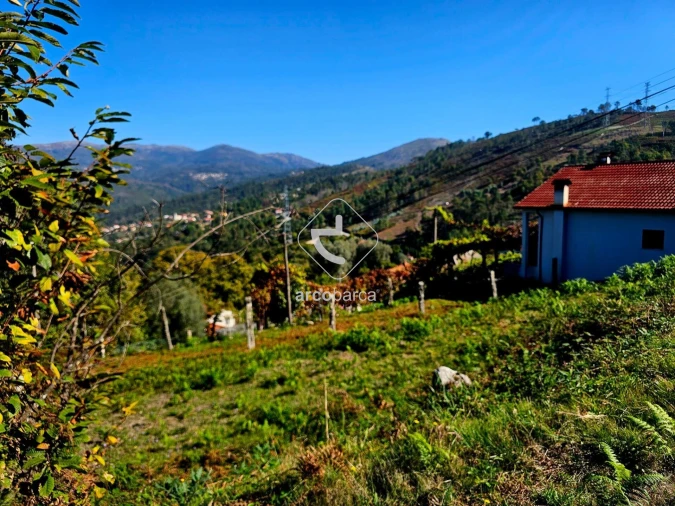 Terreno para Venda em Eiras e Mei Foto 13