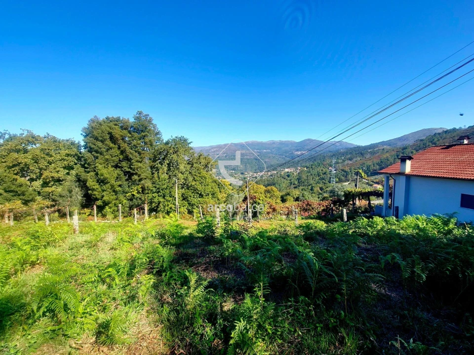 Terreno para Venda em Eiras e Mei Foto 5