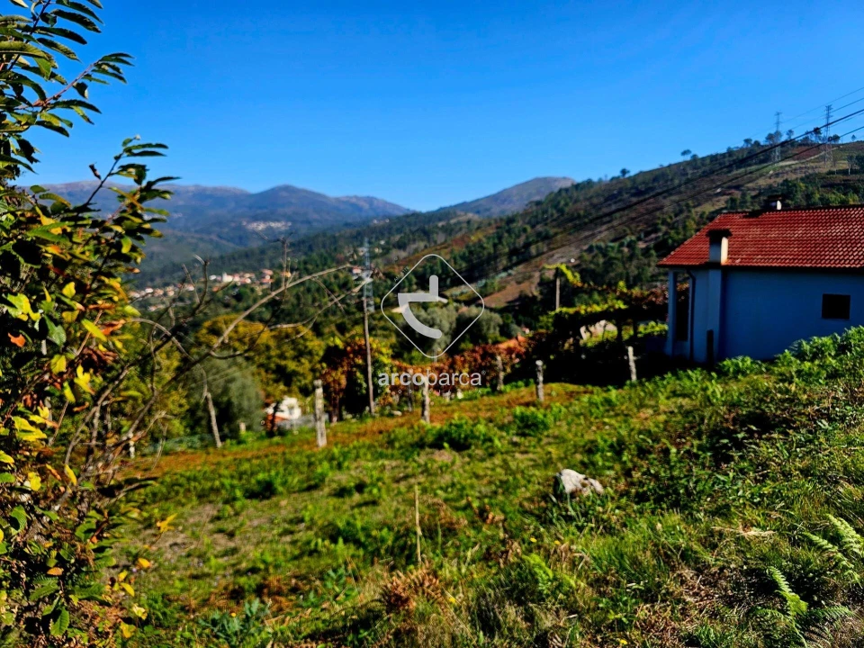 Terreno para Venda em Eiras e Mei Foto 13