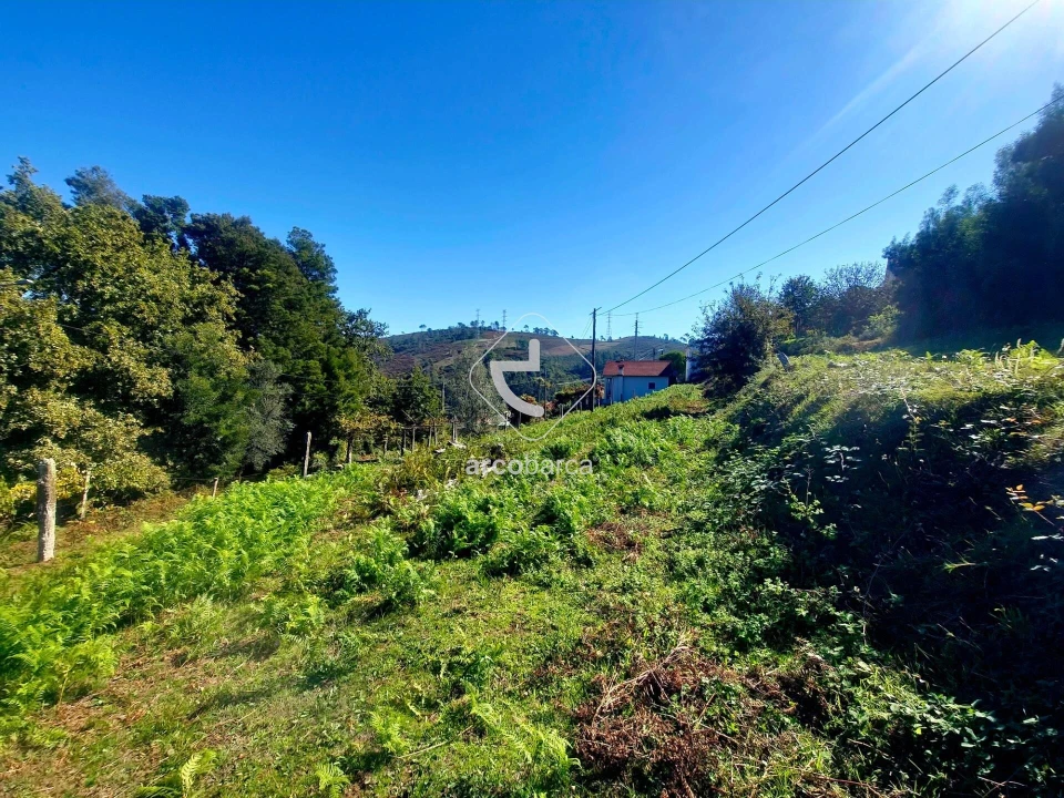 Terreno para Venda em Eiras e Mei Foto 34