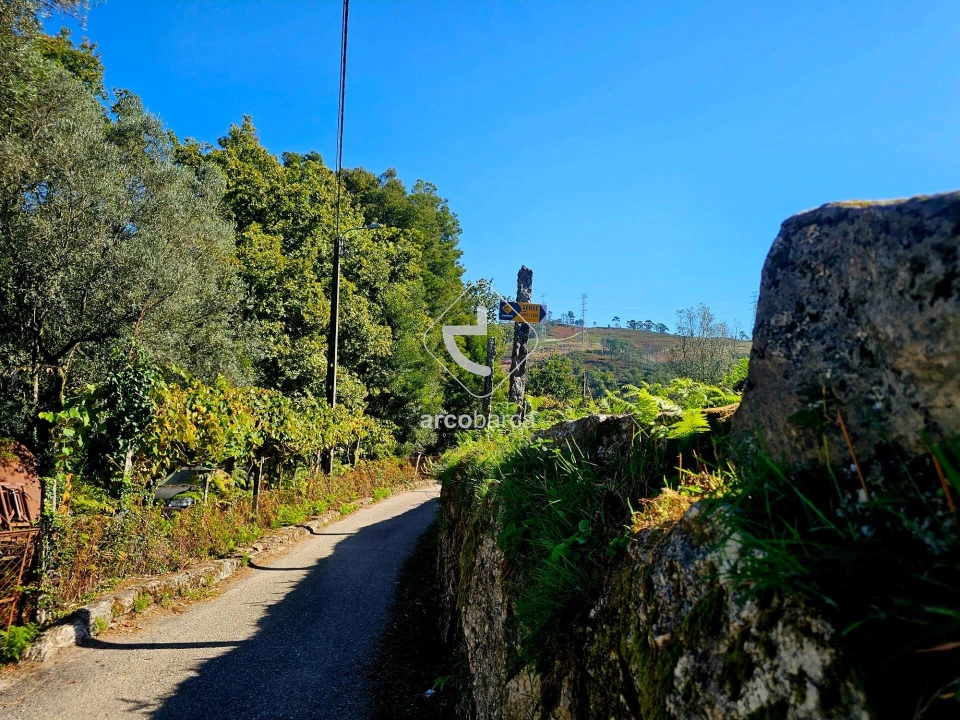 Terreno para Venda em Eiras e Mei Foto 1