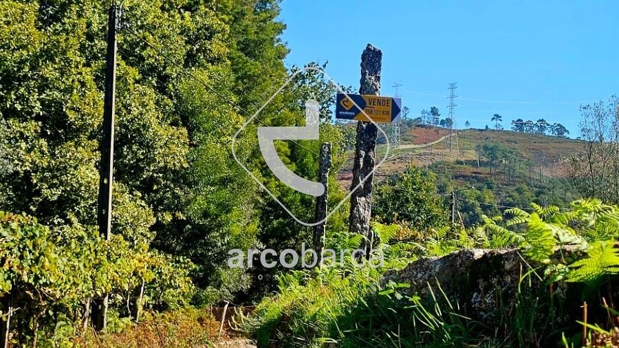 Terreno para Venda em Eiras e Mei