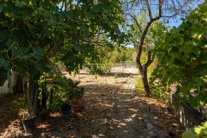 Quinta T5 para Venda em Boliqueime