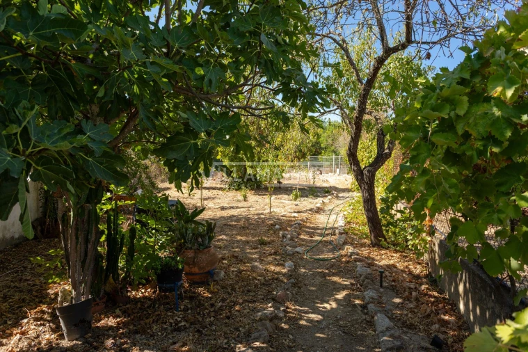 Quinta T5 para Venda em Boliqueime Foto 77