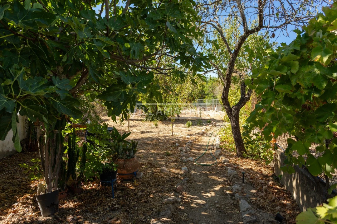 Quinta T5 para Venda em Boliqueime Foto 77