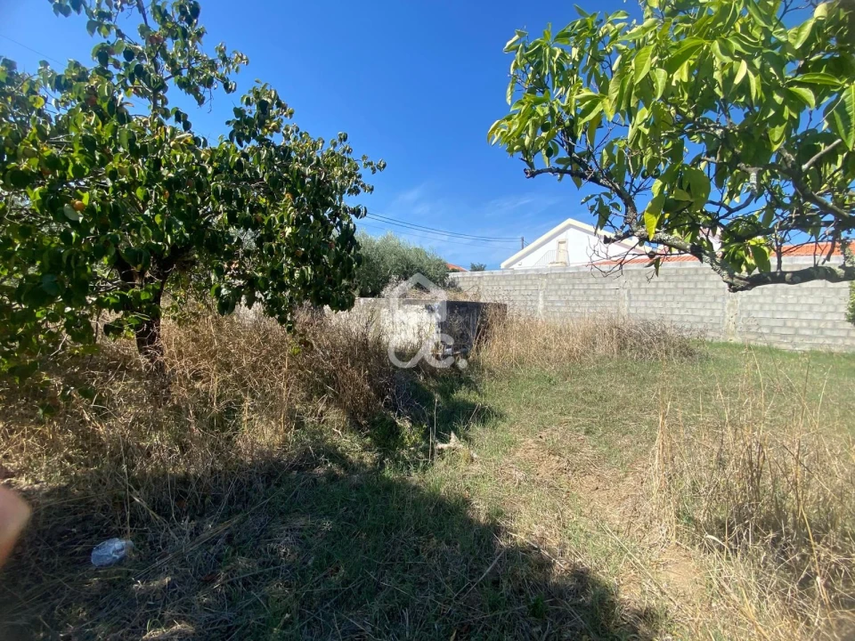 Terreno para Venda em Torres Novas (Santa Maria, Salvador e Santiago) Foto 17
