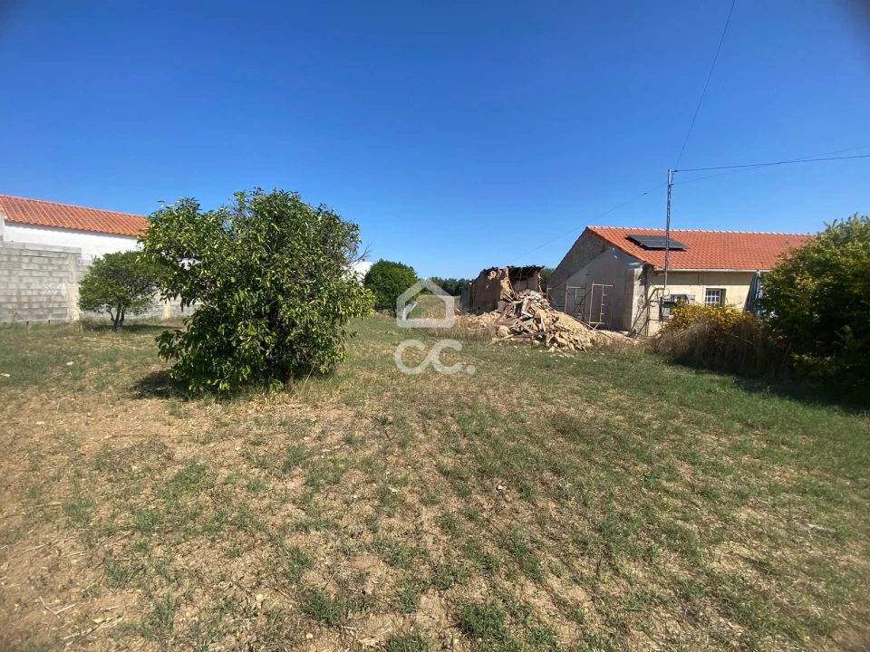 Terreno para Venda em Torres Novas (Santa Maria, Salvador e Santiago) Foto 3