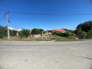 Terreno para Venda em Torres Novas (Santa Maria, Salvador e Santiago)